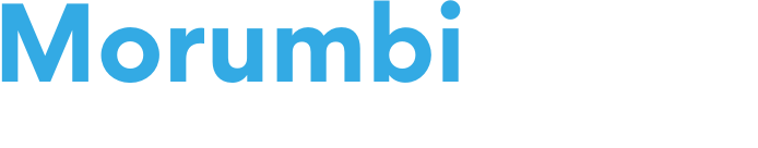 Telas Mosqueitas Multi